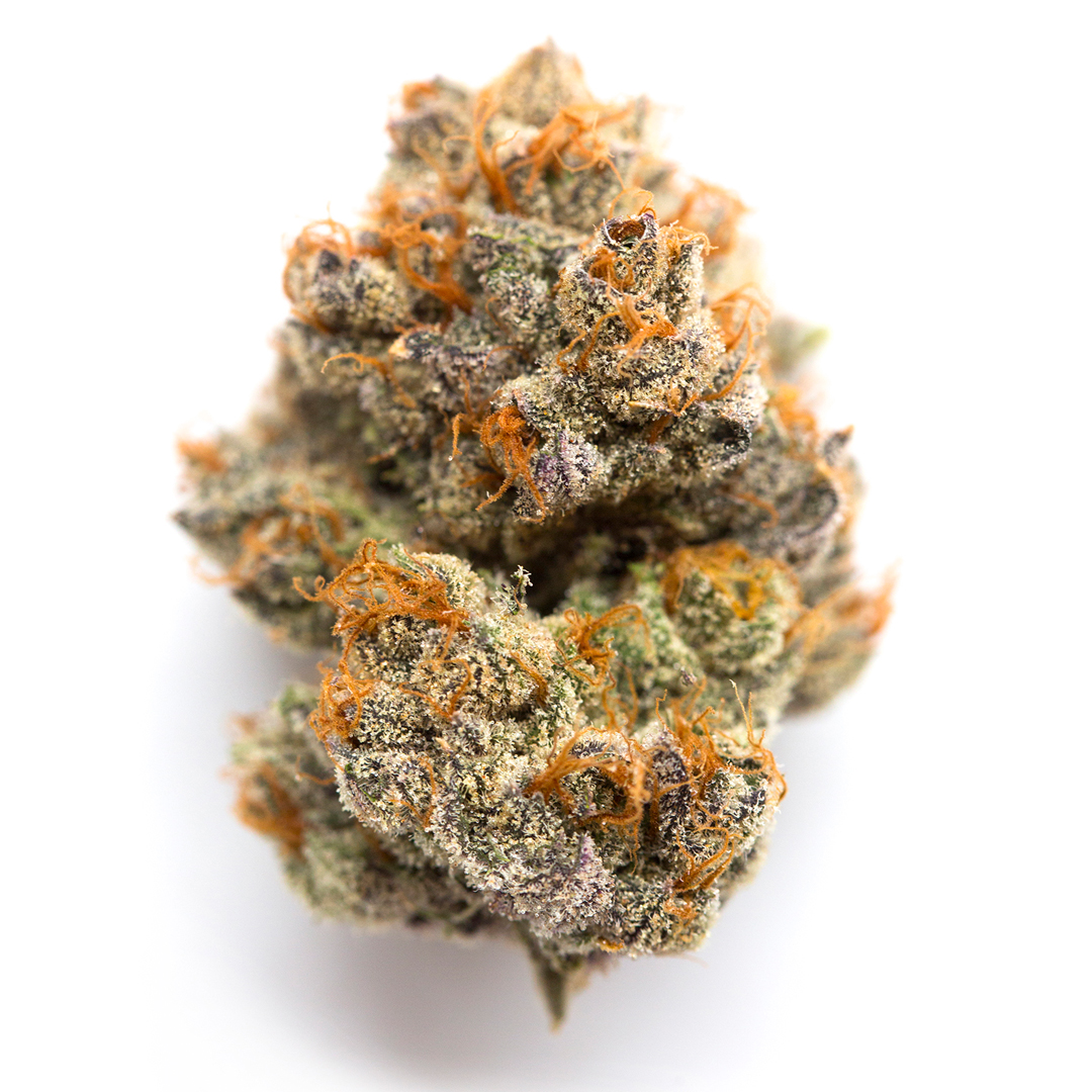 Blue Sherbert – Produktfoto bei Black Forest Seeds