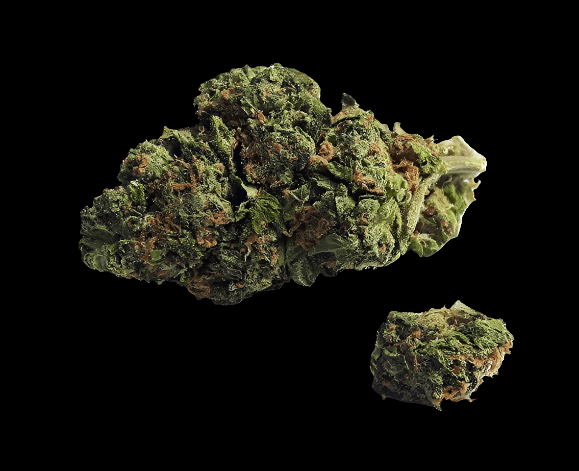 Zkittles Fast – Produktfoto bei Black Forest Seeds