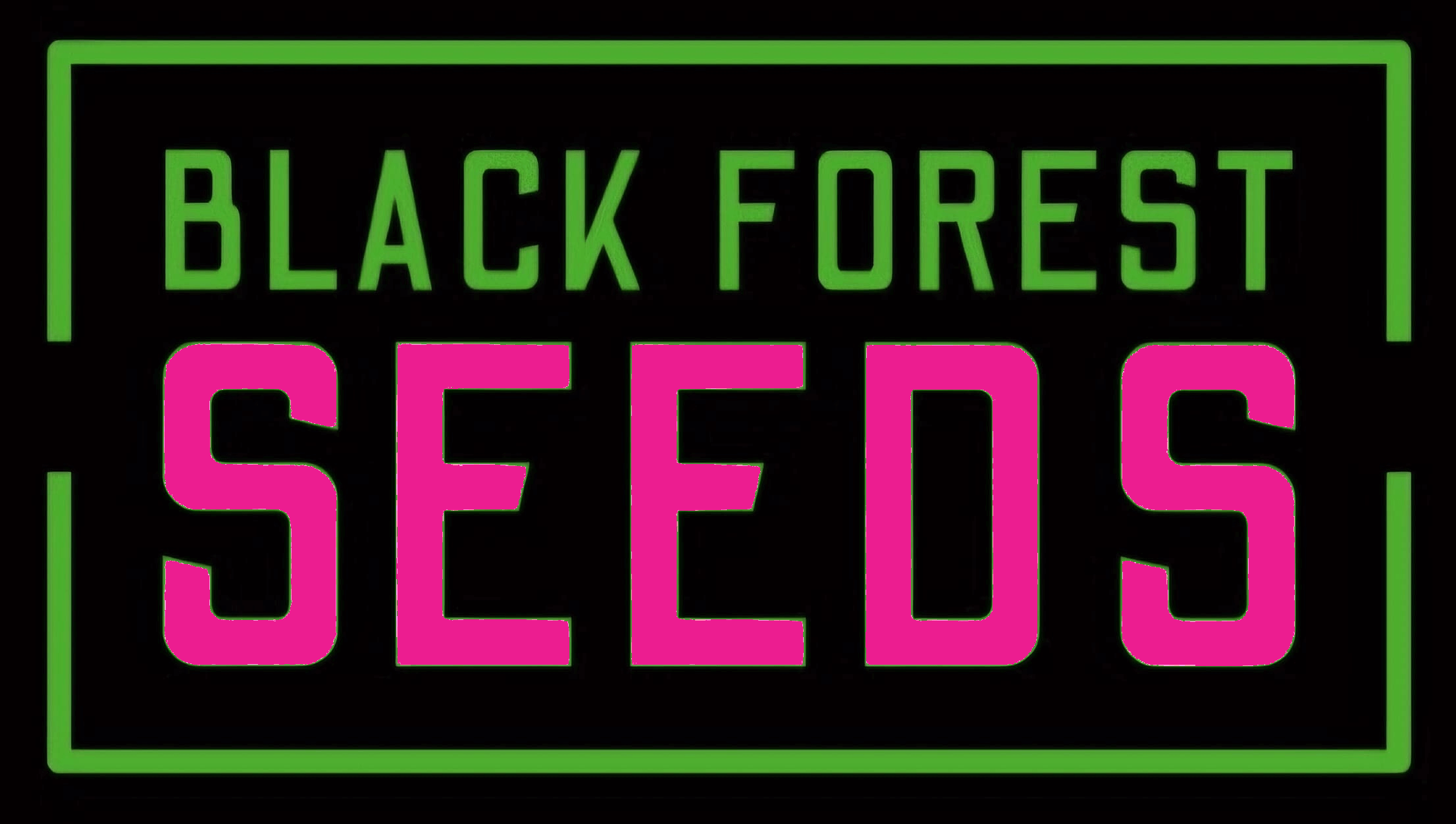 Entdecke unsere Auswahl an Fast Flower Feminisiert. Sorgfältig selektiert, in Top-Qualität und schnell geliefert. Jetzt stöbern und die passenden Sorten finden: • White Widow Jungpflanze kaufen • Gelly Bean Jungpflanze kaufen • Strawberry Amnesia Jungpfla
