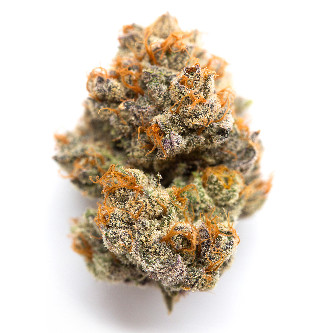 Blue Sherbert Feminisierte Cannabis Samen 