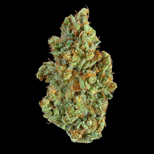 Forest Breath 3er Pack CBD Samen